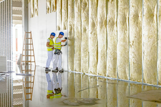 Best Basement Insulation  in Glasgow, VA